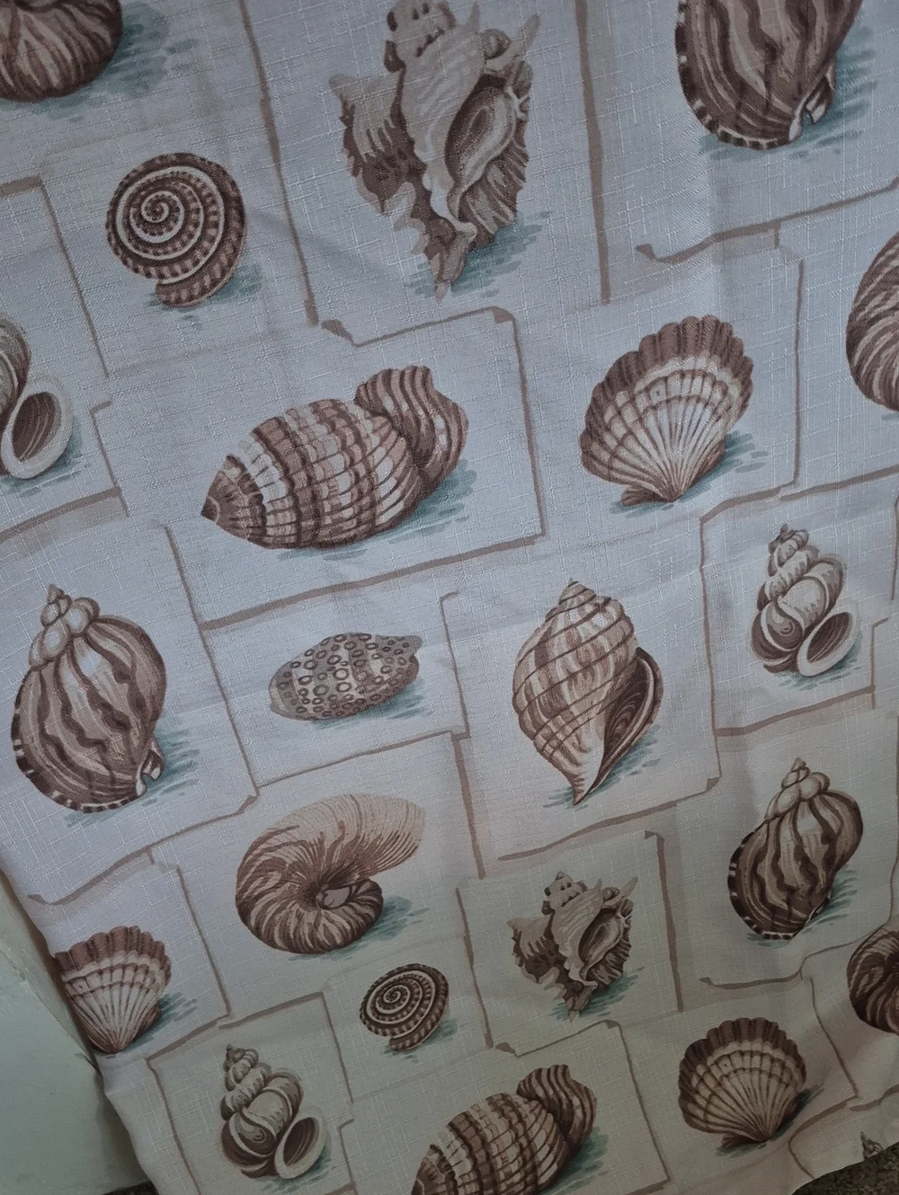 Seashell Pattern Fabric Shower Curtain Cream and Brown